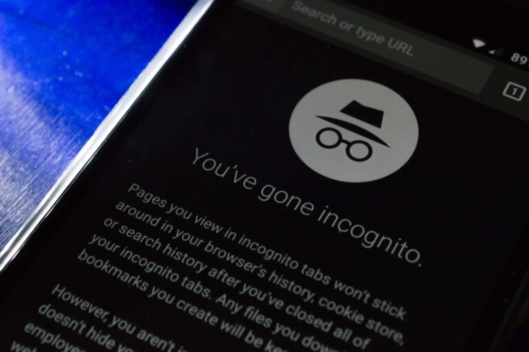 How to Turn Off Incognito Mode on iPhone (With Photos)