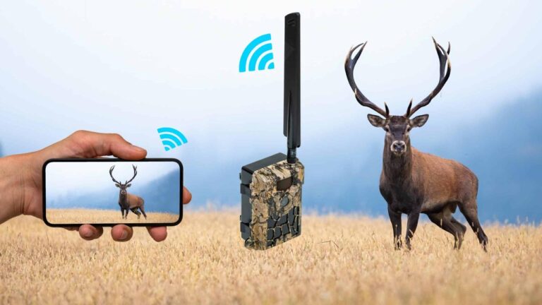 The 5 Best Cellular Trail Cameras on Earth Today: Ranked and Reviewed