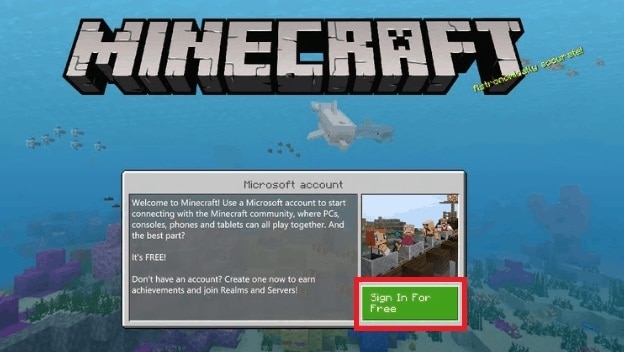 How to Play 2-Player on Minecraft Nintendo Switch: 5 Steps with Photos
