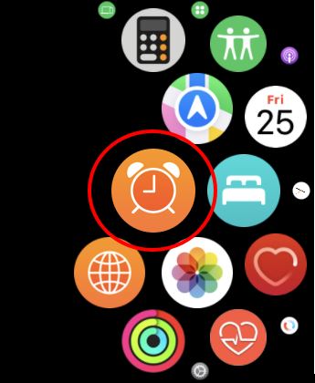 Silent vibrating alarm Apple Watch