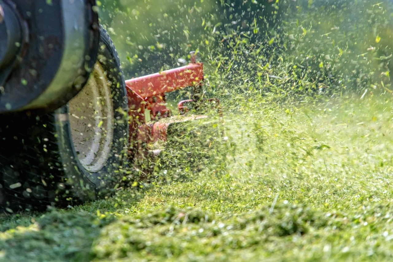 Ryobi 40V Mower vs Greenworks 80V Mower