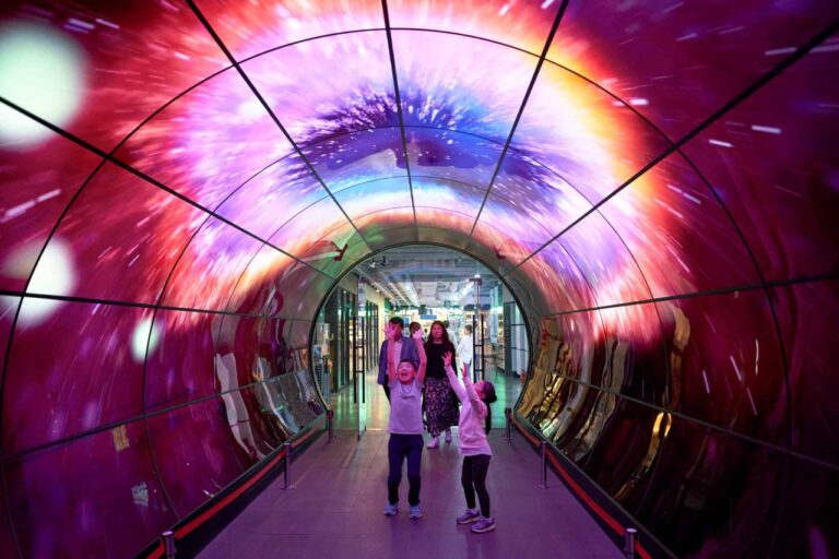Samsung OLED vs. LG OLED: 6 Key Differences and Full Comparison