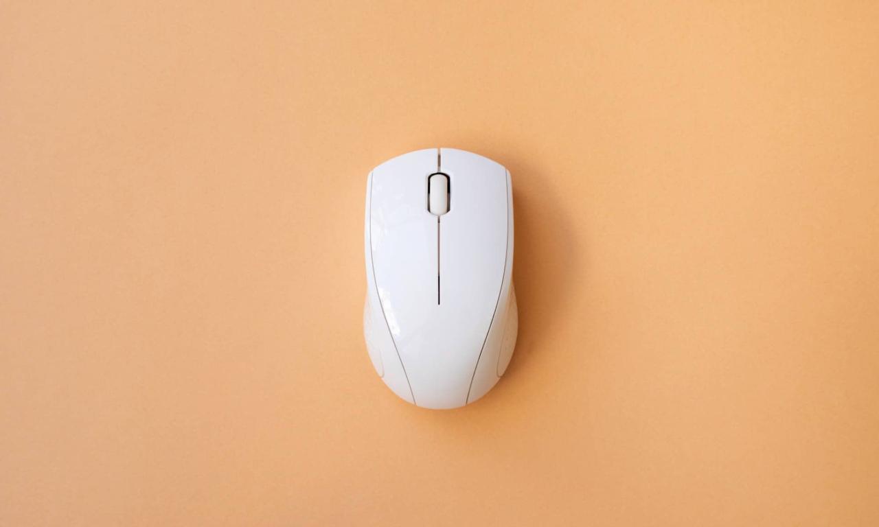 Computer Mouse, Computer, Top - Garment, Scenics - Nature, Technology