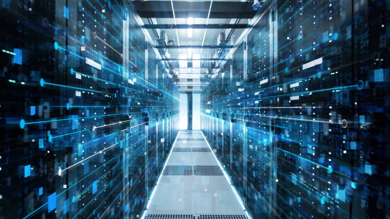 largest server companies