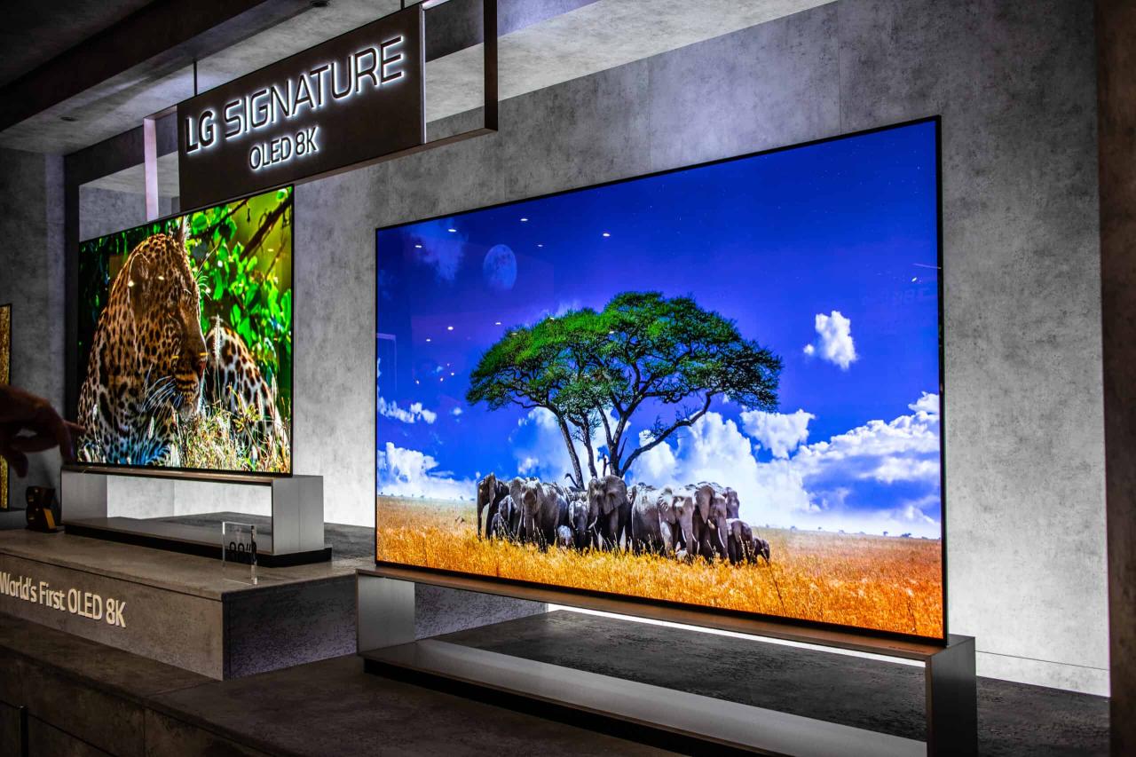 NanoCell LG OLED TV monitor