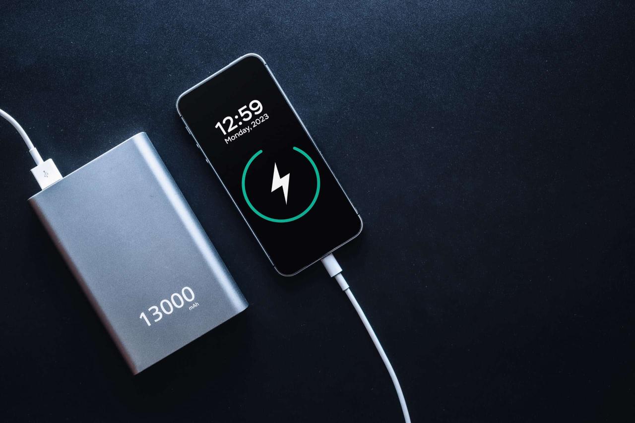portable power bank phone charger