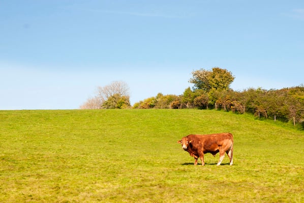 How to Use the Rule of Thirds in Web Design [Complete Guide]