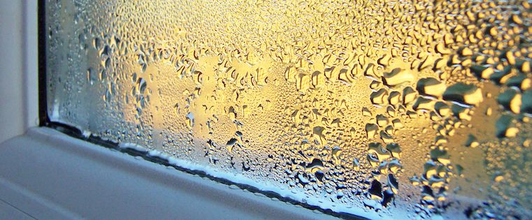 Why Do People Hate the Word "Moist"? The Science Behind Word Aversion