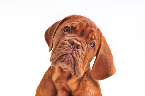 "Does That Make Sense?" Is Killing Your Sales. Here&lsquo;s Why, and What to Say Instead
