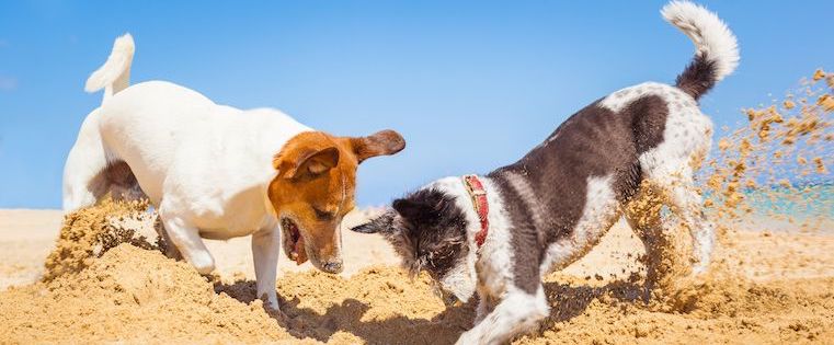 How to Resurrect a Buried Email in Your Prospect&lsquo;s Inbox in 15 Seconds