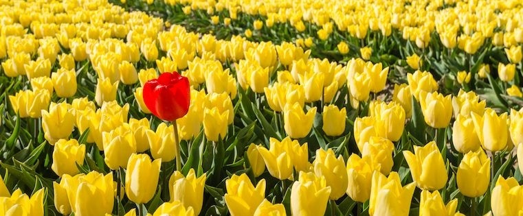 How to Be Ridiculously Memorable in Sales: The Ultimate Guide