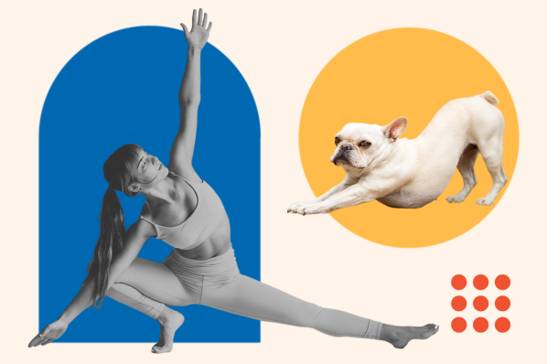 Unleash the Beast: How to Capitalize on the $10B Animal Workout Trend