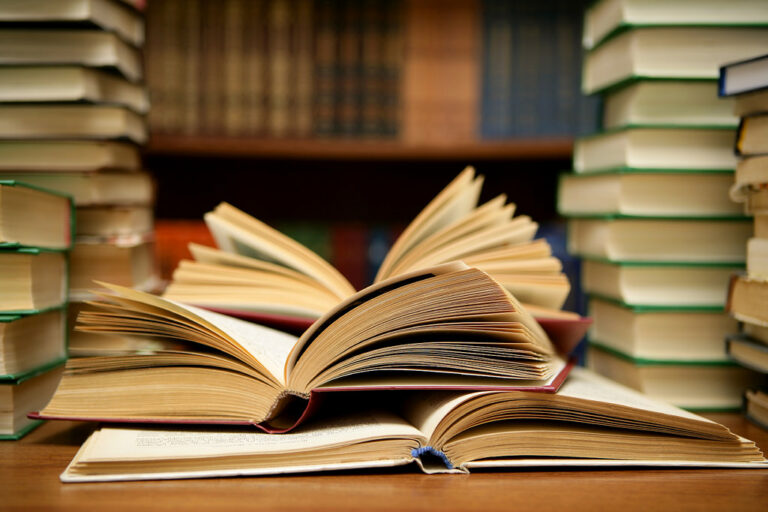 The Data Scientist&lsquo;s Literary Journey: Mastering R and Python Through Transformative Books