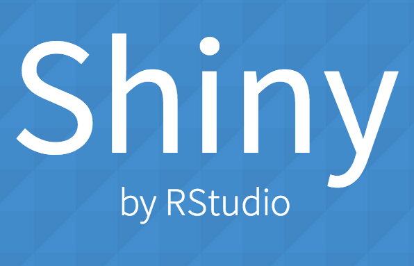 Shiny: Transforming Data Visualization in the Digital Age