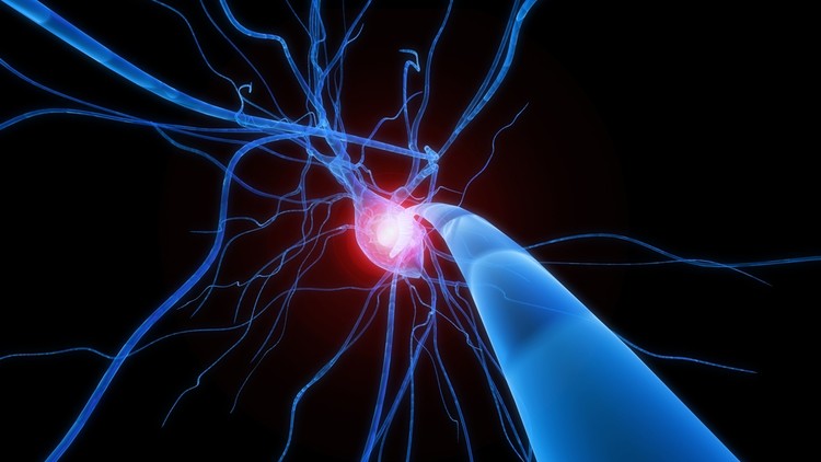 6 Deep Learning Applications: Your Passport to AI Mastery