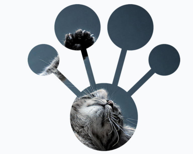CatBoost: A Transformative Journey in Categorical Feature Processing