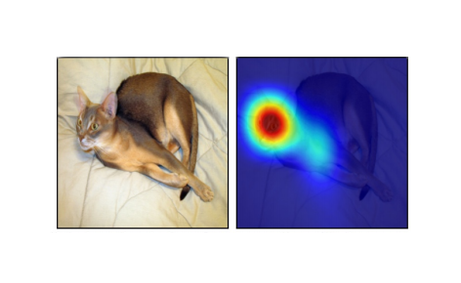 Decoding the Neural Canvas: A Deep Dive into CNN Visualization Techniques