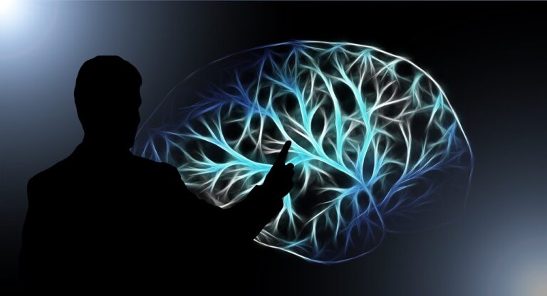 Decoding the Brain: A Deep Dive into Hierarchical Temporal Memory