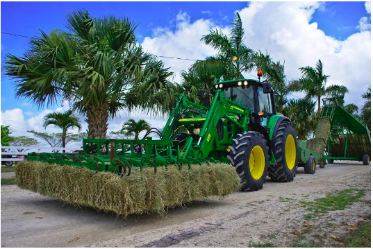Data Science in Indian Agriculture: Transforming Farming Through Technological Innovation
