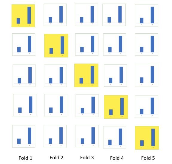 The Art and Science of Cross Validation: A Data Scientist&lsquo;s Comprehensive Guide