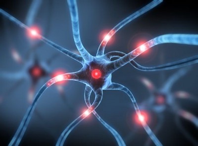 Inception Network: A Journey Through Computational Vision&lsquo;s Frontier