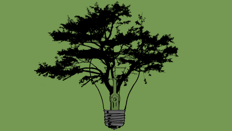 Decision Tree Splits: A Journey Through Algorithmic Intelligence