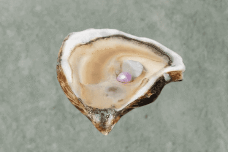 How Much Are Pearls Worth? A Detailed Guide to Pearl Value and Pricing