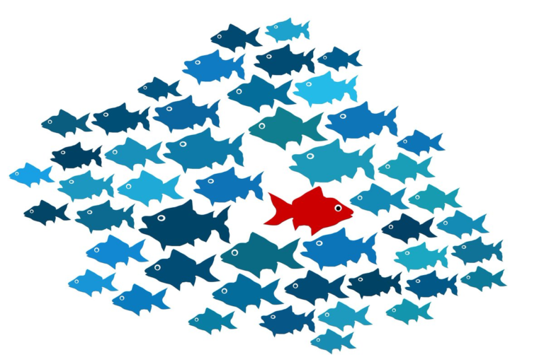 Decoding Data Anomalies: A Comprehensive Journey Through Intelligent Pattern Recognition