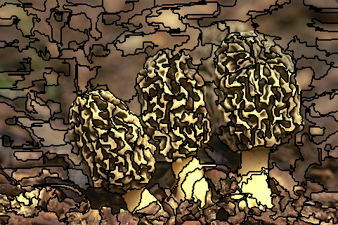 Decoding Visual Worlds: A Deep Dive into Felzenszwalb&lsquo;s Image Segmentation Revolution