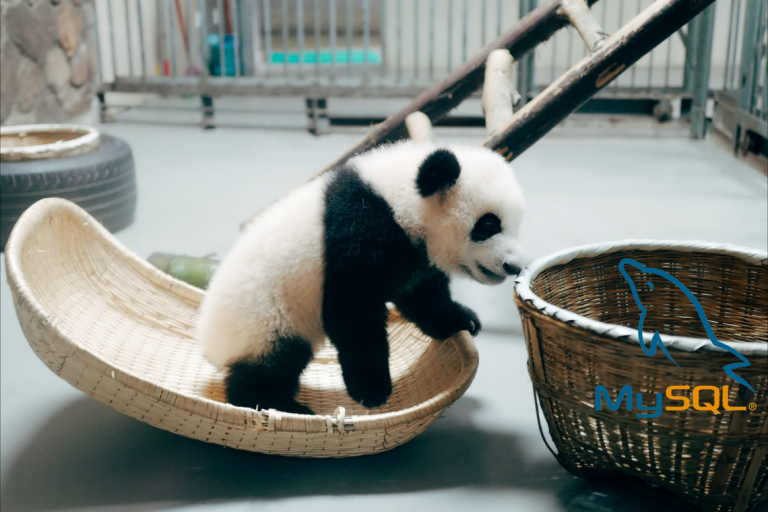 Pandas Functions: The Alchemist&lsquo;s Guide to Transforming SQL Queries in Python