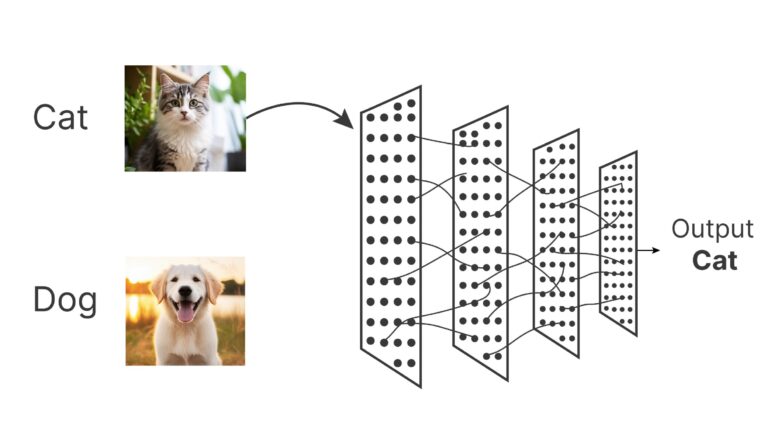 Decoding the Art of Cat and Dog Classification: A Deep Dive into Convolutional Neural Networks