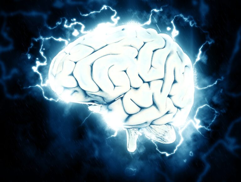 Revolutionizing Brain Tumor Detection: An AI-Powered Journey of Hope and Precision