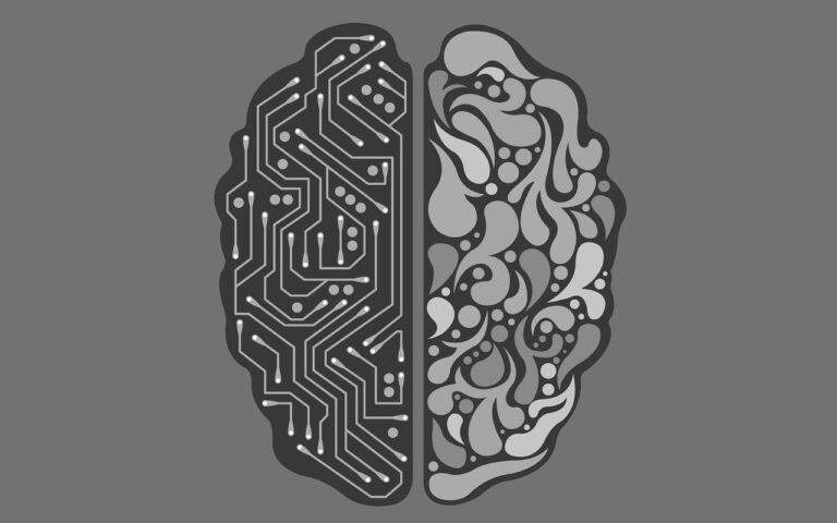 Decoding the Brain: A Comprehensive Journey into Skull Stripping and 3D MRI Image Segmentation