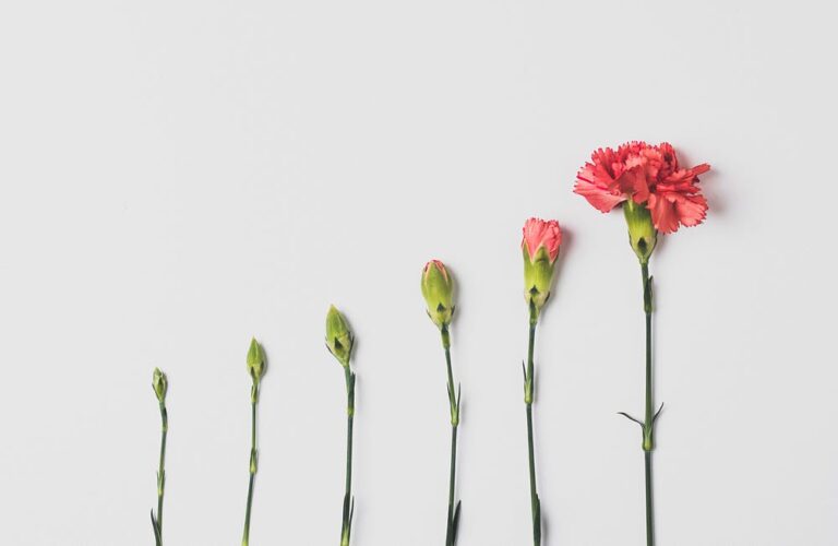 Change Data Capture: A Journey Through Modern Data Evolution