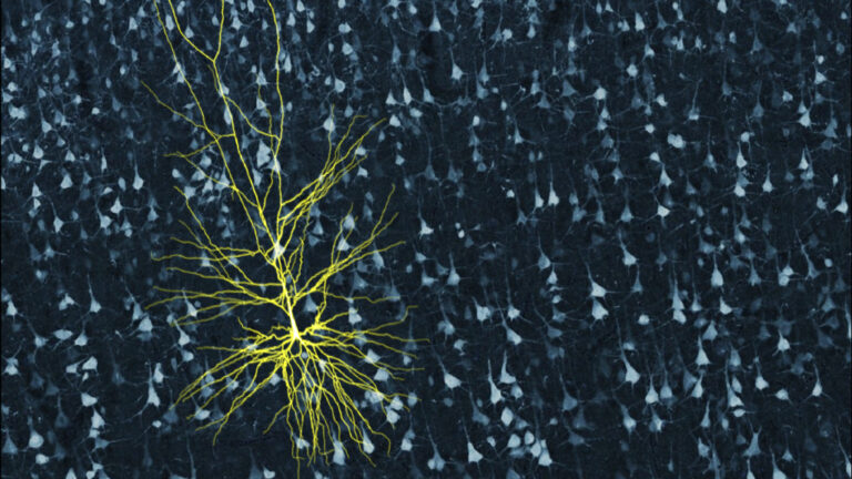 Deep Learning: Navigating the Computational Ocean of Artificial Intelligence