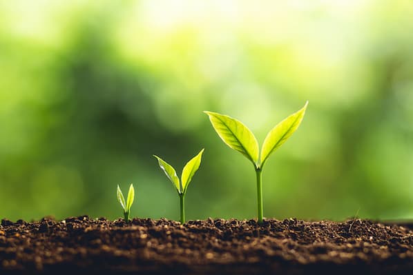 Scaling Your Business: A Comprehensive 6-Stage Framework
