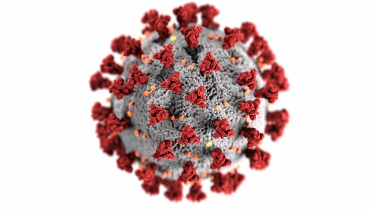 SIRD Model: A Comprehensive Journey Through Disease Spread Modeling