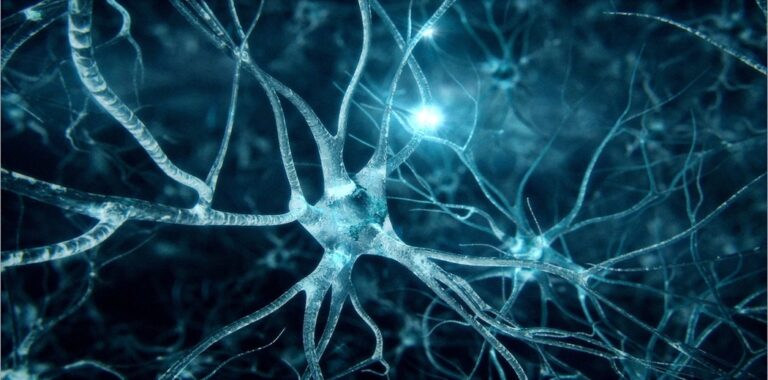 Decoding Artificial Neural Networks: A Comprehensive Journey into Intelligent Computing