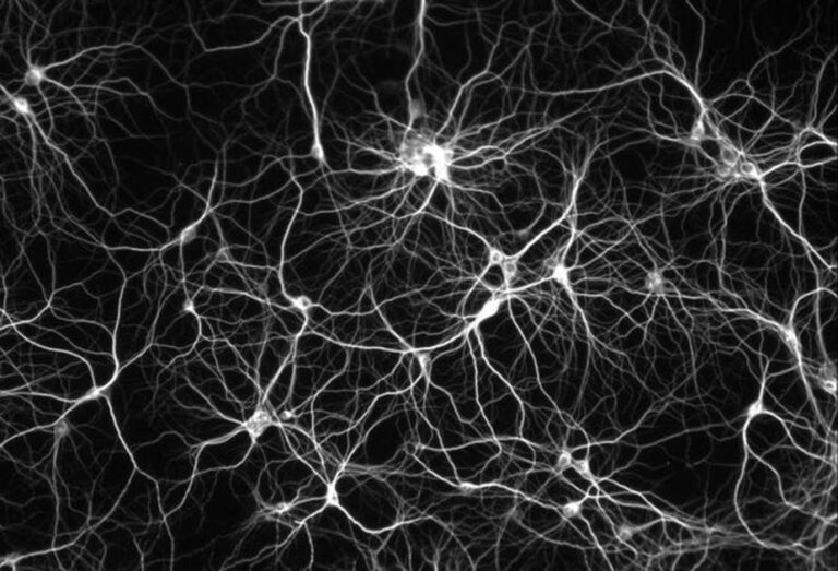 Linear Optimization: Navigating Complex Decision Landscapes with Mathematical Precision