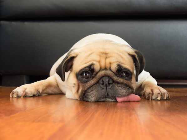 How to Survive the Workday When You&lsquo;re Sick, Tired, or Just Not Feeling It