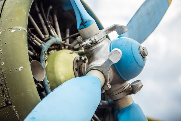 What Every Founder Needs to Know About Survivorship Bias