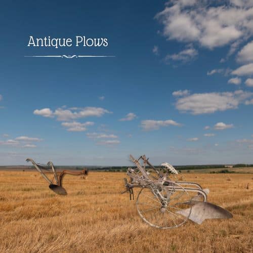 Antique Plows: Identification, Valuation, and Where to Buy (Ultimate Guide 2024)