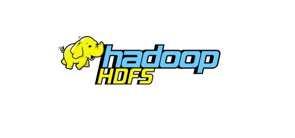 Navigating the Complex World of Hadoop Distributed File System: A Journey Through Modern Data Infrastructure