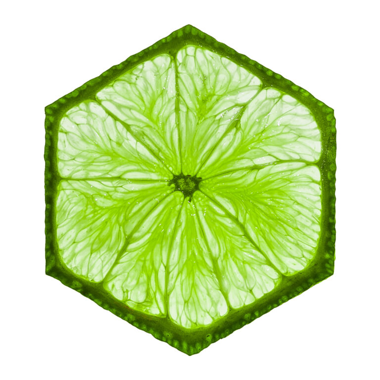 Demystifying LIME: A Comprehensive Journey into Explainable Artificial Intelligence