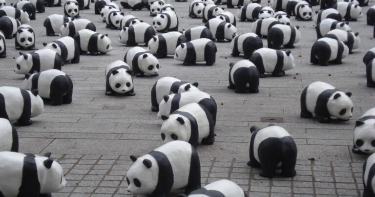 Essential Pandas Operations: A Masterclass in Data Manipulation Techniques