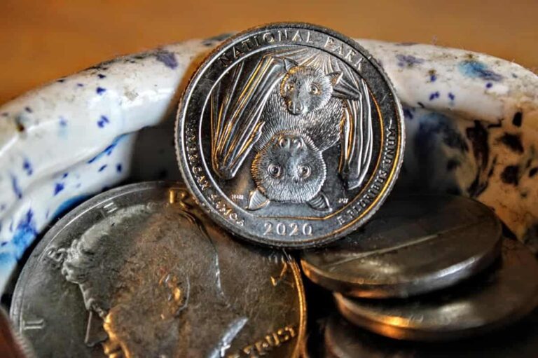 Analyzing the 2020 Bat Quarter Value: A Comprehensive Guide