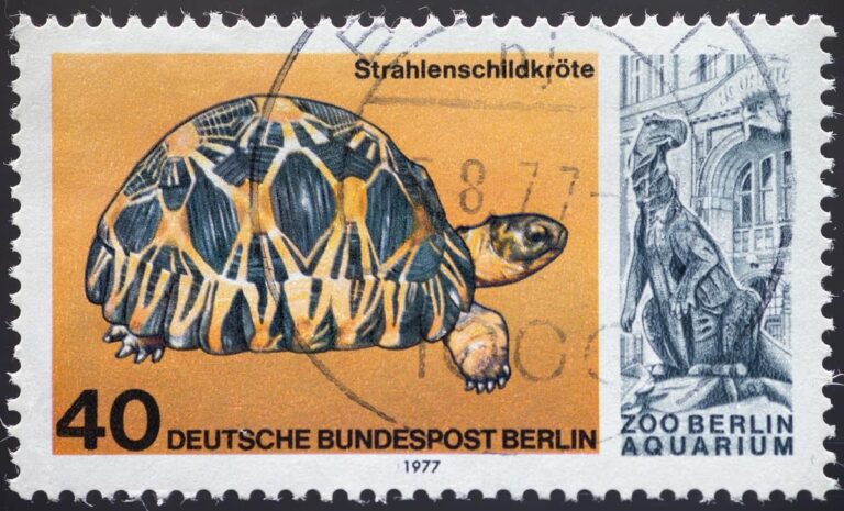 10 Rare And Most Valuable Stamps From Germany: Please, Stay Away From Licking The Stamp! – VIP Art Fair