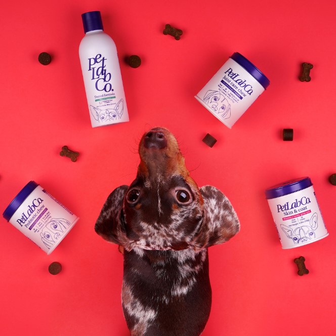 PetLab Co Review: My Honest Take on Their All-Natural Pet Supplements