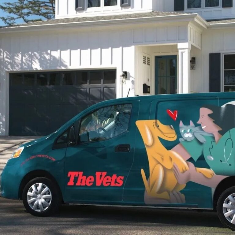The Vets Review: The Future of Pet Care is Here (and It&lsquo;s Right in Your Living Room!)