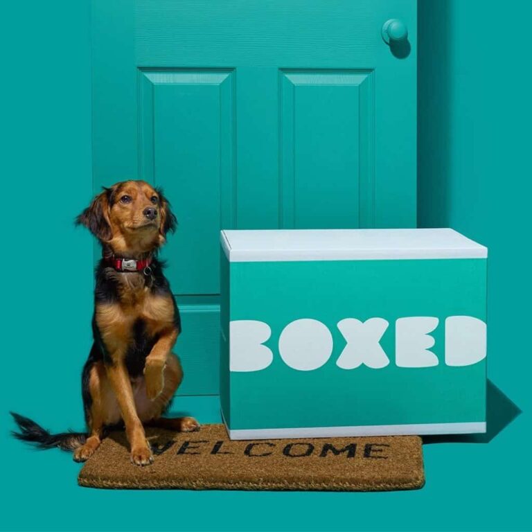 Boxed Review: My Honest Take on the Bulk Delivery Service Everyone&lsquo;s Talking About